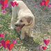 Profile Picture of Luisa Manfredini (@luisa.manfredini.75) on Facebook
