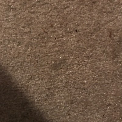 Profile Picture of JOHN & Monica Pawloski (@PawloskiJohn) on Twitter