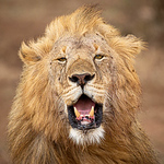 Profile Picture of Frederic Devaud (@devaud.frederic) on Flickr