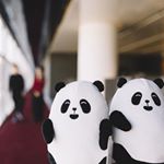 Profile Picture of Ken Wong (@cxka_ken) on Instagram