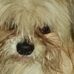 Profile Picture of Debra Dunfee (@nanadunfee) on Facebook