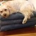 Profile Picture of Ruby Pepper (@ruby.pepper.5) on Facebook