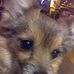 Profile Picture of Charles Burnside (@charles.burnside1) on Facebook