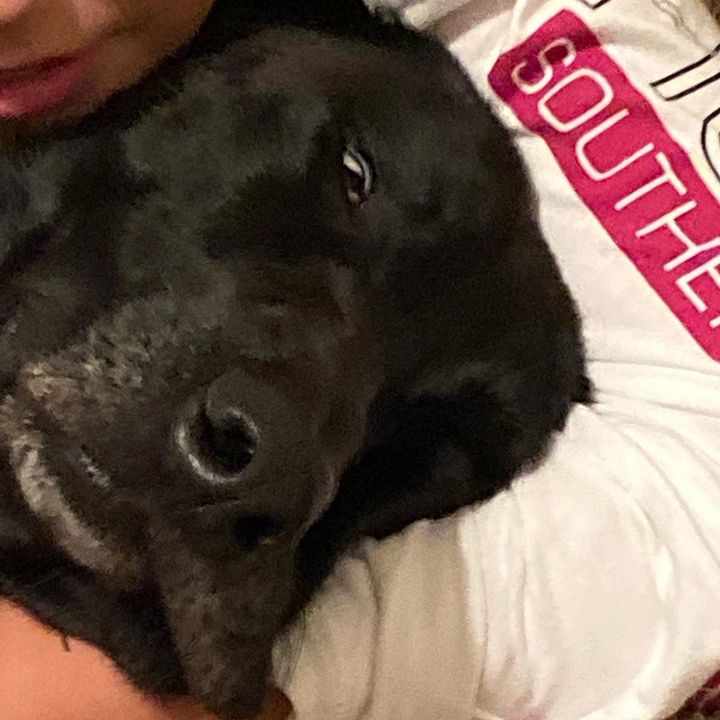 Profile Picture of Matt (@matthew_granato) on Tiktok