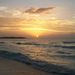 Profile Picture of Dawn Halterman (@dawnh2691) on Pinterest