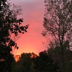 Profile Picture of Brigitte Jennings (@bjenni1) on Instagram