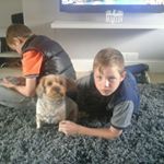 Profile Picture of alex semple (@alex_sempe77) on Instagram