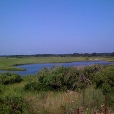 Profile Picture of Jerry Van Driesen (@napeaque) on Twitter