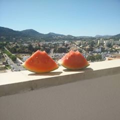 Profile Picture of Eli Fleming (@elifleming7) on Tiktok