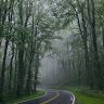 Profile Picture of Nicholas Avalos (@nicholasyavalos) on Pinterest