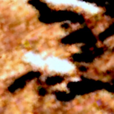 Profile Picture of Dana Graham Phelps (@DanaGPhelps) on Twitter