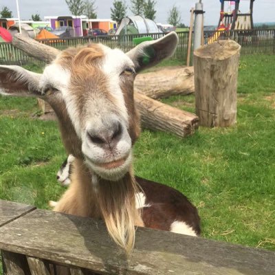 Profile Picture of Cee Lo Greeny (@AndyGreen20) on Twitter