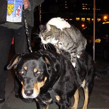 Profile Picture of Brian Degenhart (@BrianDegenhart) on Twitter