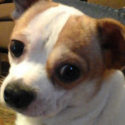 Profile Picture of Barbara Campbell (@babaracampbell8176) on Youtube