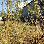 Profile Picture of Joseph de la mora (@morajosephdela) on Instagram