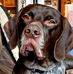 Profile Picture of Cathy Campbell Bennett (@cathy.bennett.986) on Facebook