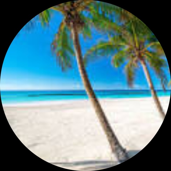 Profile Picture of Pam Randolph (@ferp6326) on Poshmark