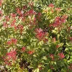 Profile Picture of Andre Merwald (@Andre-Merwald) on Facebook