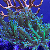 Profile Picture of Kyle McGuire (@KyleMcGuire4) on Youtube