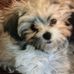Profile Picture of Barry Belcher (@barry.belcher.142) on Facebook