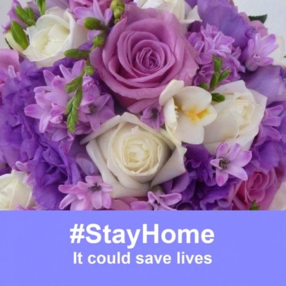 Profile Picture of Donna Simone (@dls124) on Poshmark