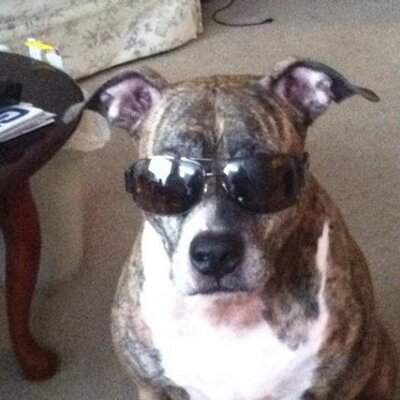 Profile Picture of Jon Schilling (@schillville) on Twitter