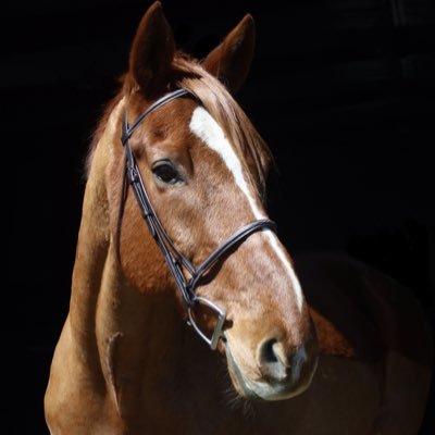 Profile Picture of Sara Weisman (@3rdweeisman) on Twitter