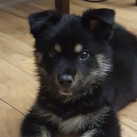 Profile Picture of Shane Crouch (@shane-crouch-5) on Quora