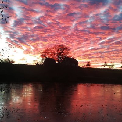 Profile Picture of Odin Minkner (@OdinMinkner) on Twitter