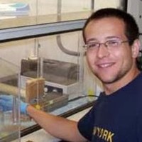 Profile Picture of Kyle Mirabile (@kyle-mirabile) on Quora