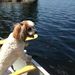 Profile Picture of Cheryl Coutts (@cherylharvey921) on Pinterest
