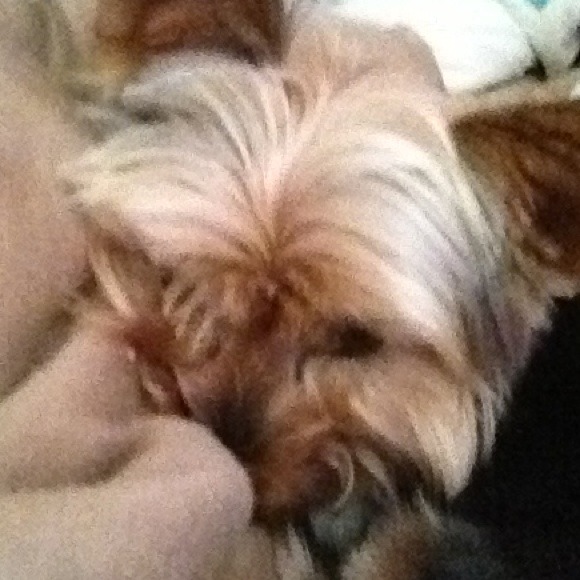 Profile Picture of Theri Friedemann (@theri) on Poshmark