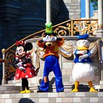 Profile Picture of Frances Franklin (@francesfranklin) on Instagram