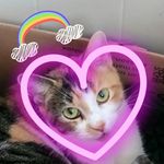 Profile Picture of Hilary Joy Michaud (@terror_and_chaos_) on Instagram