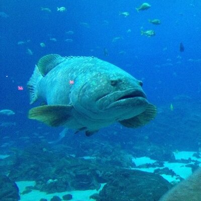 Profile Picture of Scott Crain (@ScottCrain) on Twitter