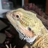 Profile Picture of joncotton (@joncotton4) on Tiktok
