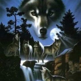 Profile Picture of Tonya Fowler (@tonyafowler36) on Twitter