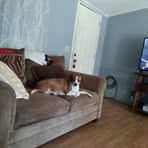 Profile Picture of Maurice Light (@Maurice-Light) on Facebook