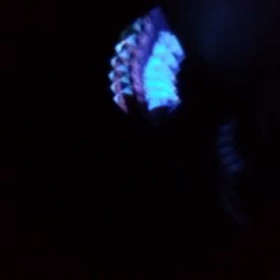 Profile Picture of danielle lenk (@duhloop) on Twitter