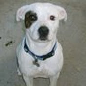 Profile Picture of Michael Cone (@MichaelCone1) on Youtube