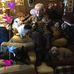 Profile Picture of Jean Pruitt (@jean.pruitt.545) on Facebook