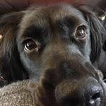 Profile Picture of Barry Finlayson (@finlayson.barry) on Instagram