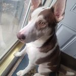 Profile Picture of John Duerr (@bondmanjbd) on Instagram