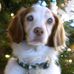 Profile Picture of Gretchen Ferguson Polczer (@gretchen.fergusonpolczer) on Facebook