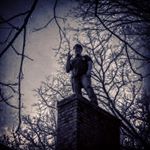 Profile Picture of Nathan Stevenson (@nathan_stevenson00) on Instagram