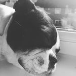 Profile Picture of Joseph Scanlon (@joelukescanlon) on Instagram