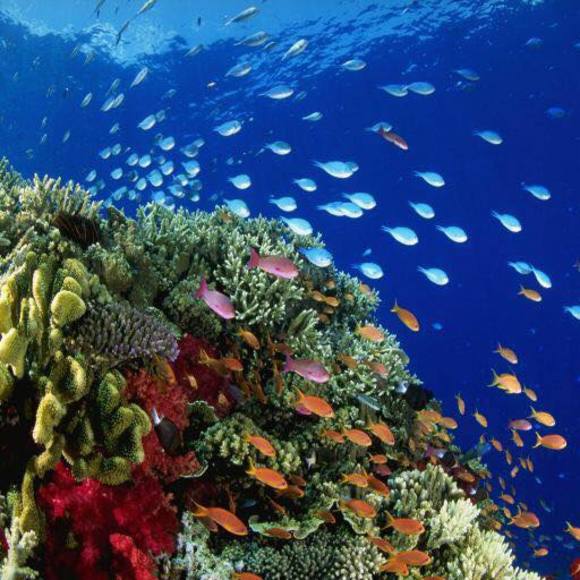 Profile Picture of Cindy Xia (@cindyxia9) on Poshmark