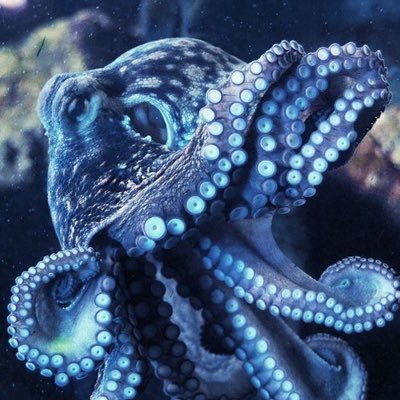 Profile Picture of Bryan Palomo (@bpalomo9) on Twitter