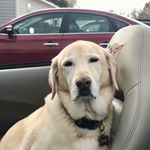 Profile Picture of Mark Christopher Abboud (@mark.c.abboud) on Instagram