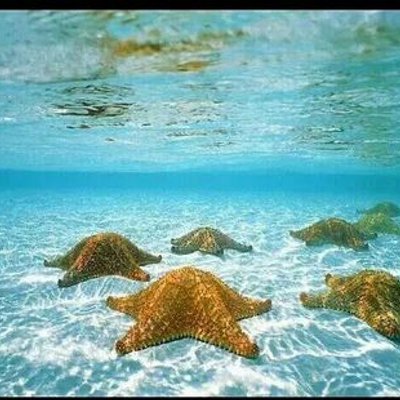 Profile Picture of Ahmed Khattab (@ahmedkhattab442) on Twitter